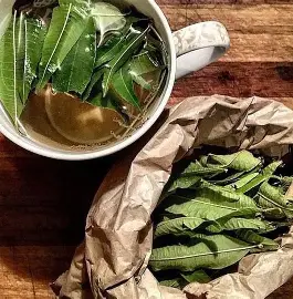 فروش عمده به‌ لیمو خشک + گیاه معطر برای دمنوش و صنایع دارویی